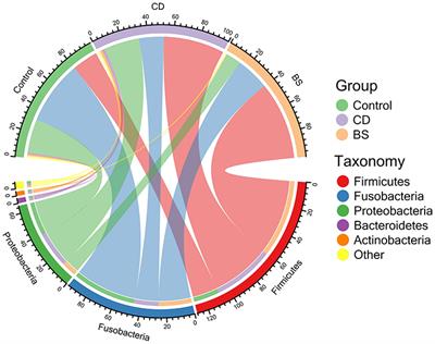 Probiotics Bacillus cereus and B. subtilis reshape the intestinal microbiota of Pengze crucian carp (Carassius auratus var. Pengze) fed with high plant protein diets